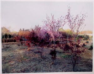 Image description is not available for 2014.017